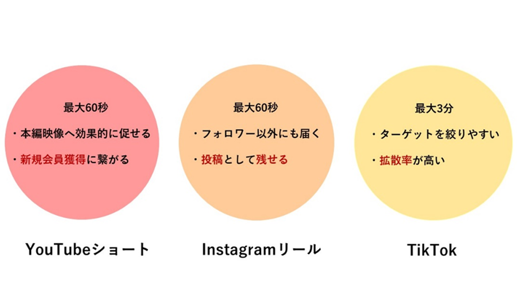 SNSツール内動画広告